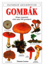 Thomas Laessoe - Gomb�k