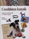 Ryan O'Meara - Csod�latos kuty�k