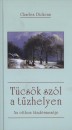 Charles Dickens - T�cs�k sz�l a t�zhelyen