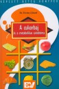 Dr. F�v�nyi J�zsef - A cukorbaj �s a metabolikus szindr�ma