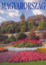 Dercs�nyi Bal�zs - Magyarorsz�g