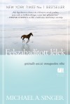Michael A. Singer - Felszabad�tott l�lek