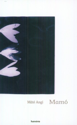 Lackfi J�nos(Szerk.) - M�t� Angi - Mam�