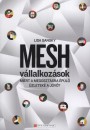 Lisa Gansky - Mesh v�llalkoz�sok