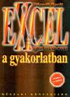 V�radi Zsolt - Excel for Windows a gyakorlatban