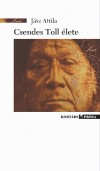 J�sz Attila - Csendes Toll �lete