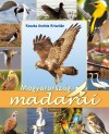 Koczka Andr�s Kriszti�n - Magyarorsz�g madarai