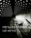 Cs. Plank Ibolya - Hajd� Vir�g - Rito�k P�l - F�ny �s forma - Light and Form