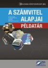 Baricz Rezs� - Dr. Gyenge Magdolna - Jo� �gnes - Martin K�ra - Reizingern� Ducsai Anita - A sz�mvitel alapjai - P�ldat�r