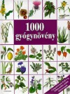Hans W. Kothe - 1000 gy�gyn�v�ny