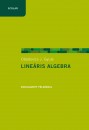 Ob�dovics J. Gyula - Line�ris algebra