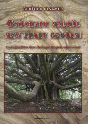 Bertold Ulsamer - Gy�kerek n�lk�l nem lehet rep�lni