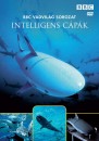  - Intelligens c�p�k