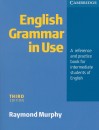 Raymond Murphy - English Grammar in Use