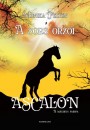 Monika Felten - A sors �rz�i