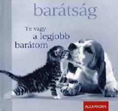 Chiara Doran - Barátság - Te vagy a legjobb barátom