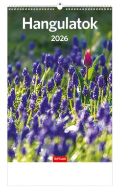 Hangulatok falinaptár 22x33 cm - 2026