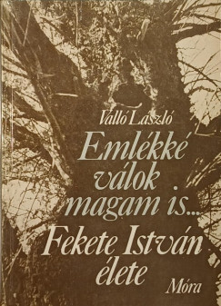 Valló László - Emlékké válok magam is...