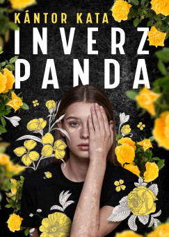 K�ntor Kata - InverzPanda