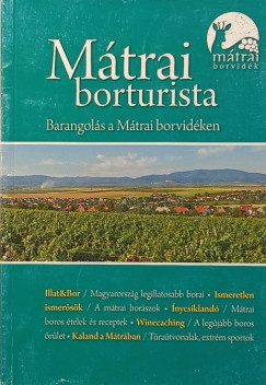 Mtrai borturista