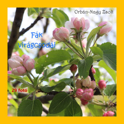 Orbán-Nagy Zsolt - Fák virágcsodái