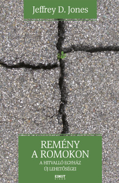 Jeffrey D. Jones - Remény a romokon