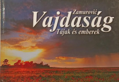 Vajdasg