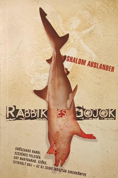 Shalom Auslander - Rabbik s gojok