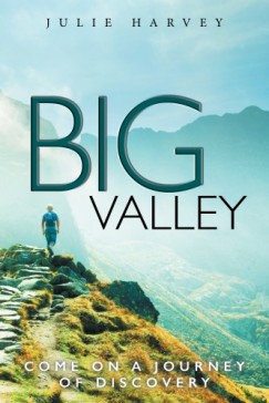 Julie Harvey - Big Valley