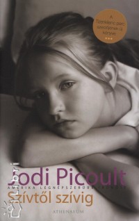 Jodi Picoult - Szvtl szvig