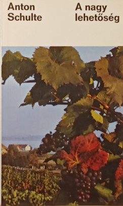 Anton Schulte - A nagy lehet�s�g