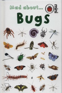 Deborah Murrell - Mad about... Bugs
