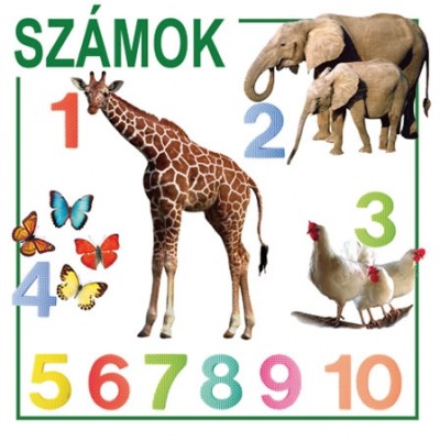 - Számok