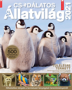 Ivn Katalin   (Szerk.) - Fles Bookazine: Csodlatos llatvilg 2021