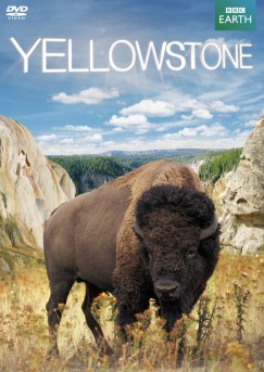 Yellowstone - DVD