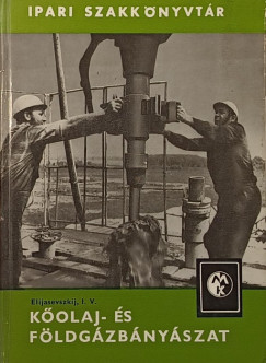 I. V. Elijasevszkij - Kolaj- s fldgzbnyszat