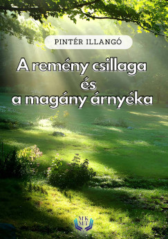 Pintr Illang - A remny csillaga s a magny rnyka