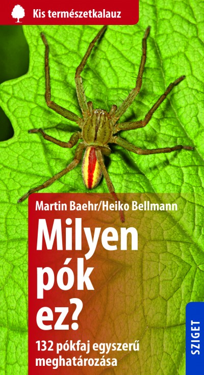 Martin Baehr - Heiko Bellmann - Milyen pók ez?