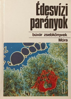 desvzi parnyok 1.