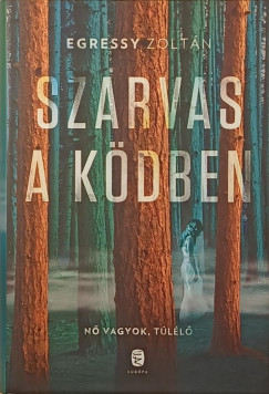 Egressy Zoltán - Szarvas a ködben