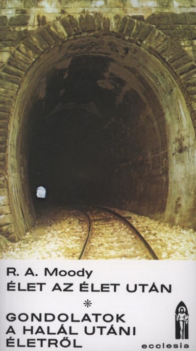 Raymond Avery Moody - Élet az élet után