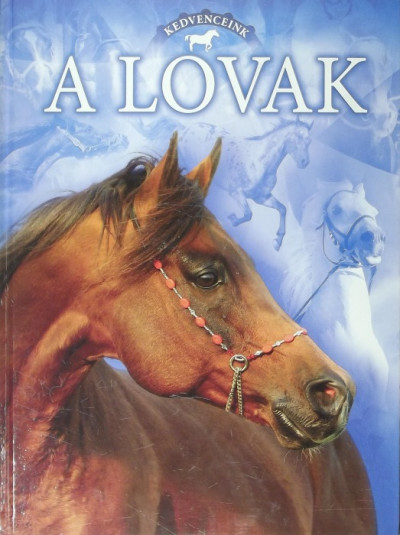 Bagoly Ilona  (Szerk.) - A lovak
