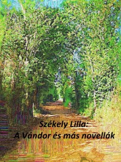 Szkely Lilla - A vndor s ms novellk