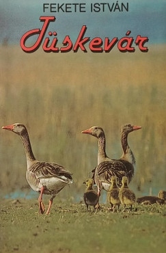 Fekete Istvn - Tskevr