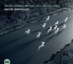L�vy Mathias - Luk�cs Mikl�s - Szandai M�ty�s - Bart�k Impressions - CD