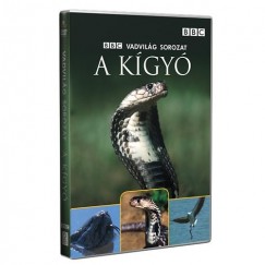 T�bb el�ad� - A k�gy� - DVD