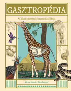 Vctor Sabat - Gasztropdia