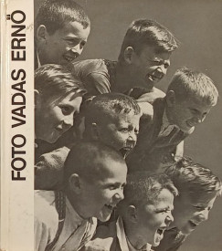 Vadas Ernő munkássága