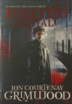 Jon Courtenay Grimwood - Pusztító angyal