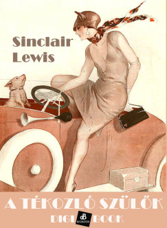 Sinclair Lewis - A tkozl szlk